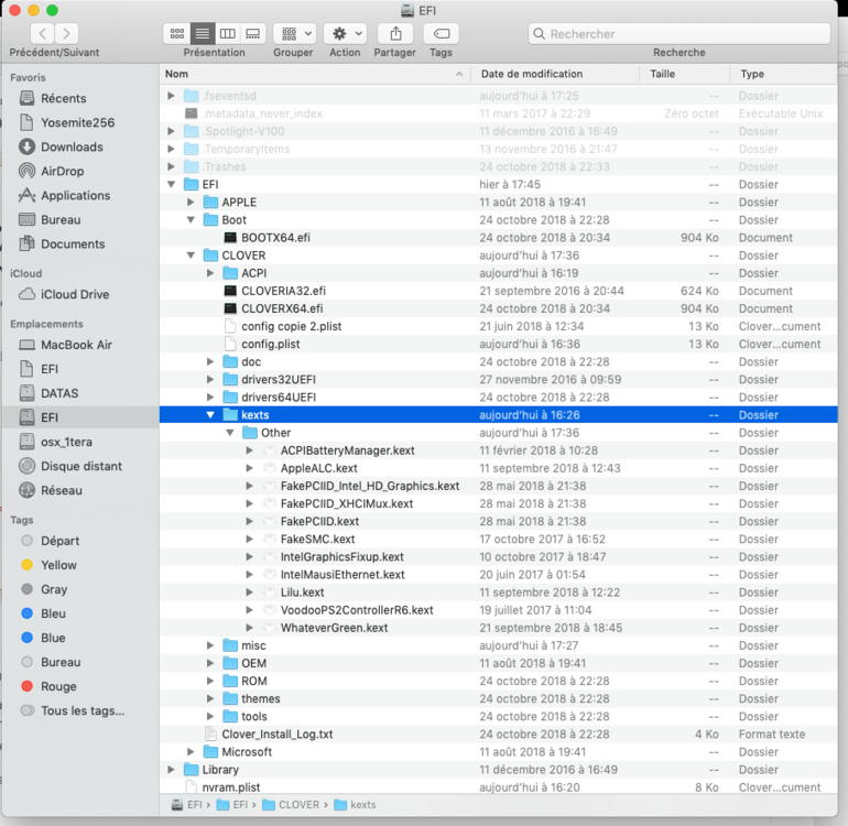 file under kext in efi.png