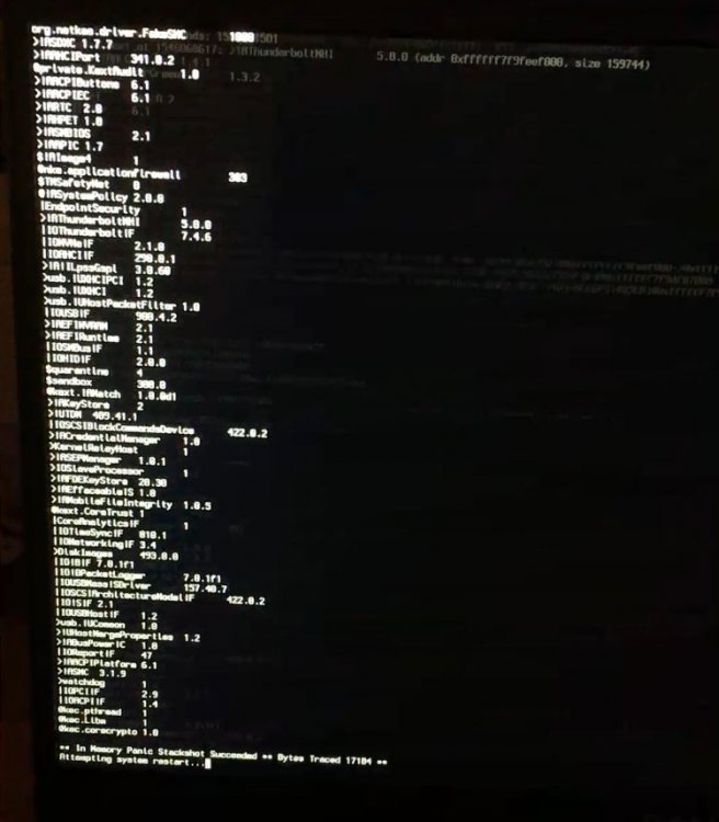 2019-11-21 06.25.54.jpg