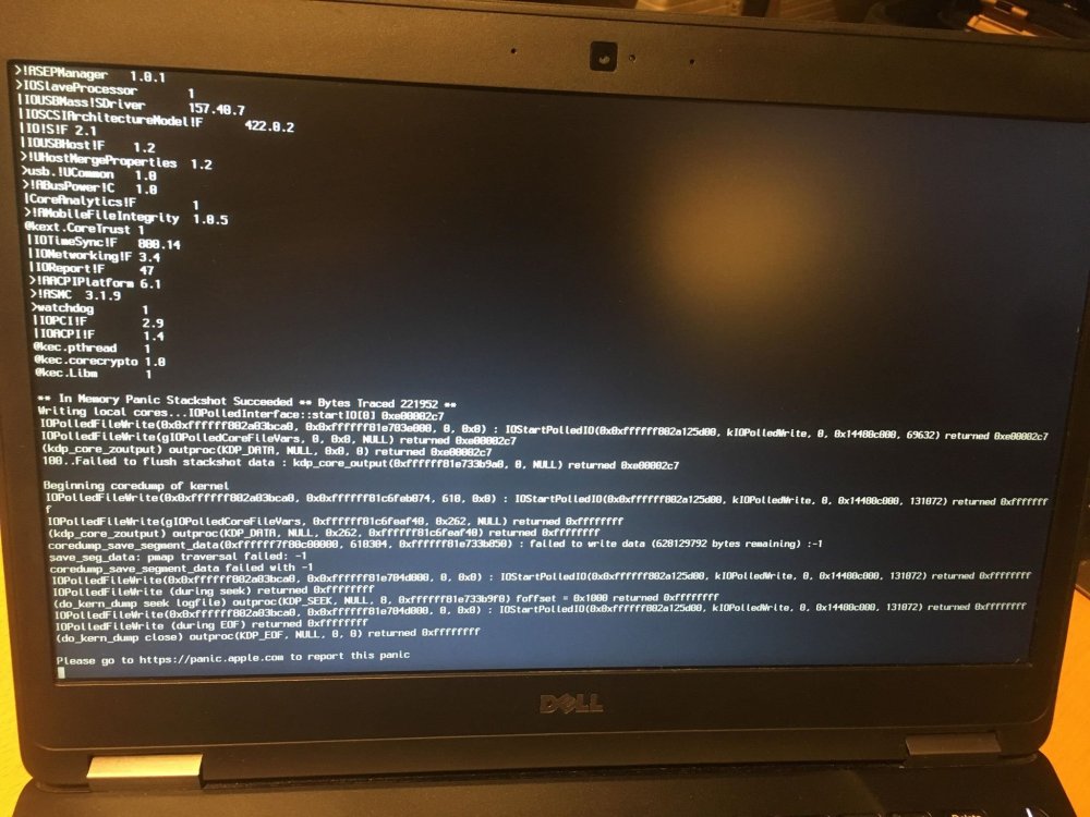 900295427_memorypanic.thumb.jpg.25cdb9f3b0d58a6085b4f32119b25d16.jpg