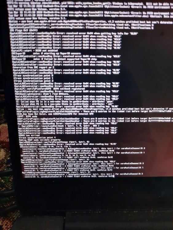 clover error.jpg